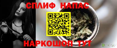 a pvp Гатчина