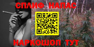 a pvp Гатчина