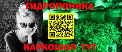не бодяженный Гай