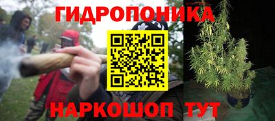 не бодяженный Гай