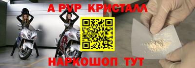a pvp Гатчина