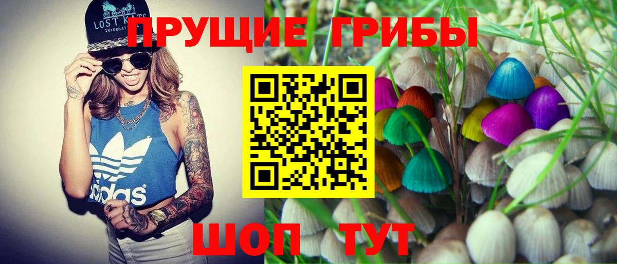 Мирный  Псилоцибиновые грибы ЛСД  цена   Вход с VPN 