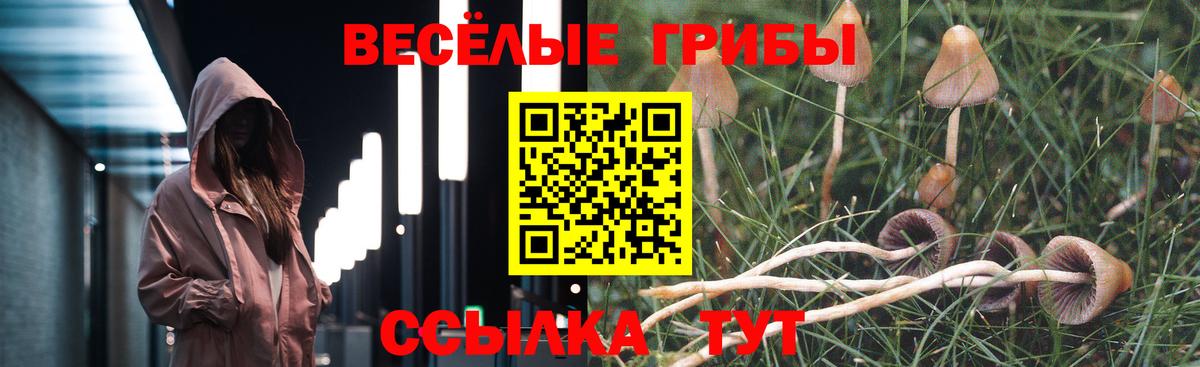 Псилоцибиновые грибы ЛСД Мирный